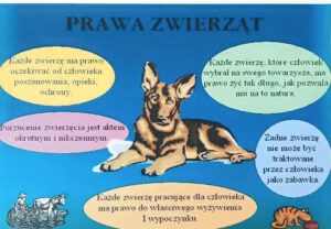 plakat z prawami zwierząt