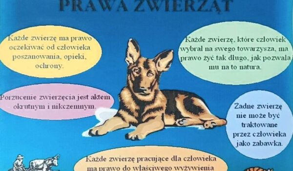 plakat z prawami zwierząt